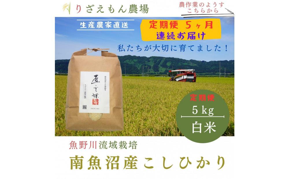 《新米予約受付》【定期便5回×5kg《合計25kg》】令和６年産　南魚沼産コシヒカリ　白米5kg＼生産農家直送／