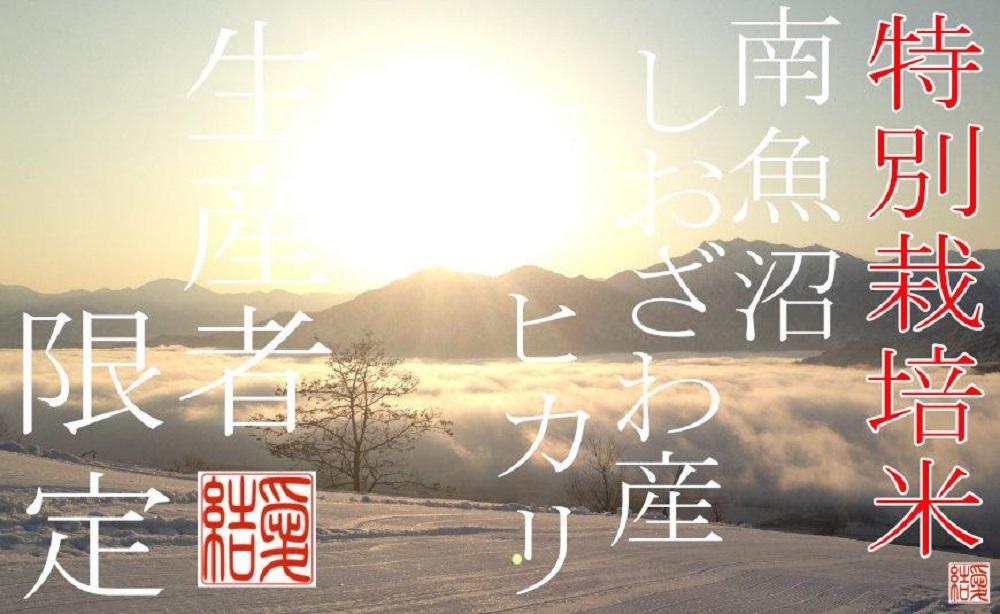 ã什å7幎ç£ããå®æäŸ¿2KgÃ12ã¶æããç¹å¥æ œå¹ç±³ã å¥çŽçç£è
éå® åéæ²Œããããç£ã³ã·ãã«ãª