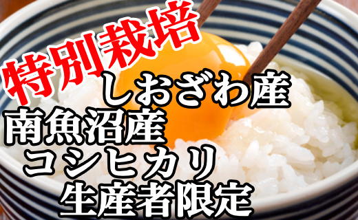 【定期便：２Kg×3ヶ月】特別栽培 生産者限定  南魚沼しおざわ産コシヒカリ