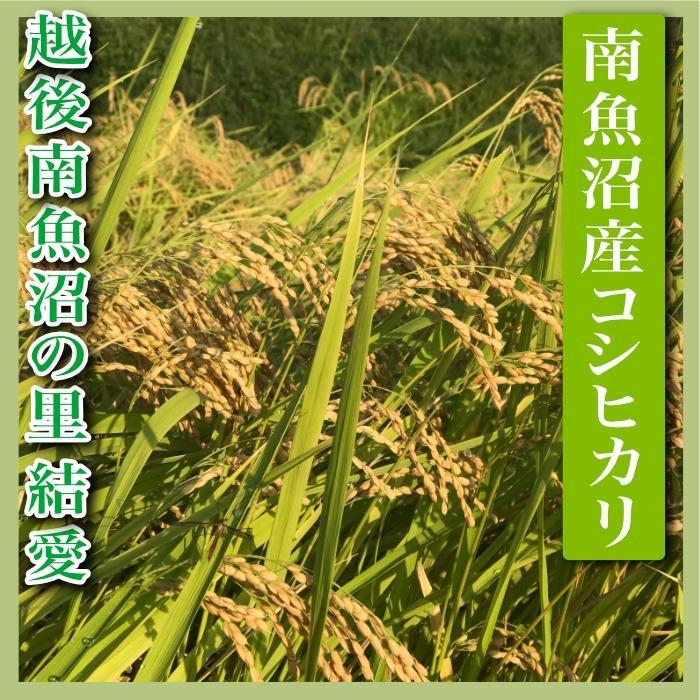 【令和7年産】【精米８Kg】越後南魚沼の里 結愛 南魚沼産コシヒカリ