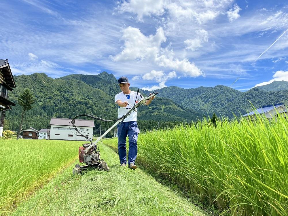 ã什å7幎ç£ã蟲家çŽéãåéæ²Œç£ã³ã·ãã«ãªã10kg(5kgÃ2è¢ïŒã2026幎3æäžæ¬ããé æ¬¡çºéäºå®ããéæç±³ ãã©ã³ãç±³ 粟米 ããã²ãã ã³ã·ãã«ãª éæ²Œç£ æ°æœç±³ ç£å°çŽé ãç±³ ç±³ ãã ã³ã¡ ã飯 埡飯 ãã¯ãã