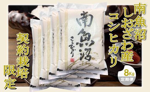 【令和7年産】【定期便 精米８Kg×６ヶ月】契約栽培限定 南魚沼しおざわ産コシヒカリ