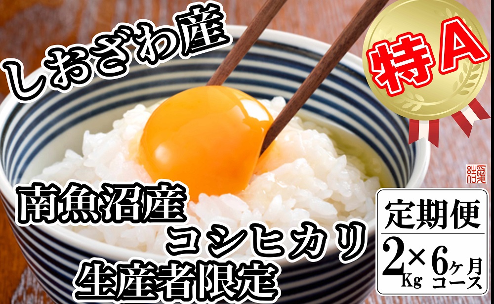 【令和7年産】【定期便／２kg×6ヶ月】生産者限定 契約栽培 南魚沼しおざわ産コシヒカリ