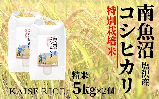 【令和7年産】南魚沼産塩沢コシヒカリ【従来品種】（特別栽培米８割減農薬）精米５ｋｇ×２個