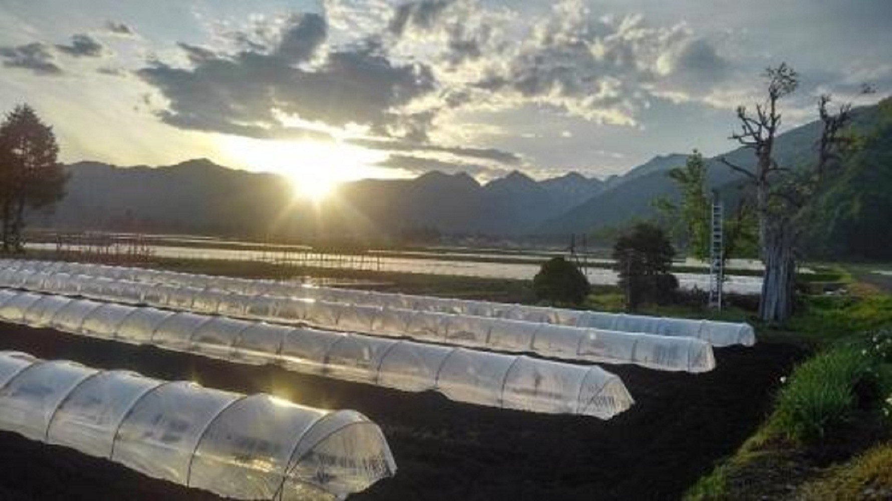 2026幎7æäžæ¬ããçºéäºå®ãéèãœã ãªãšãµãããéè³åè³ããæž
氎蟲åã®å
«è²ç£å°çã¹ã€ã«ãïŒ2çïŒ