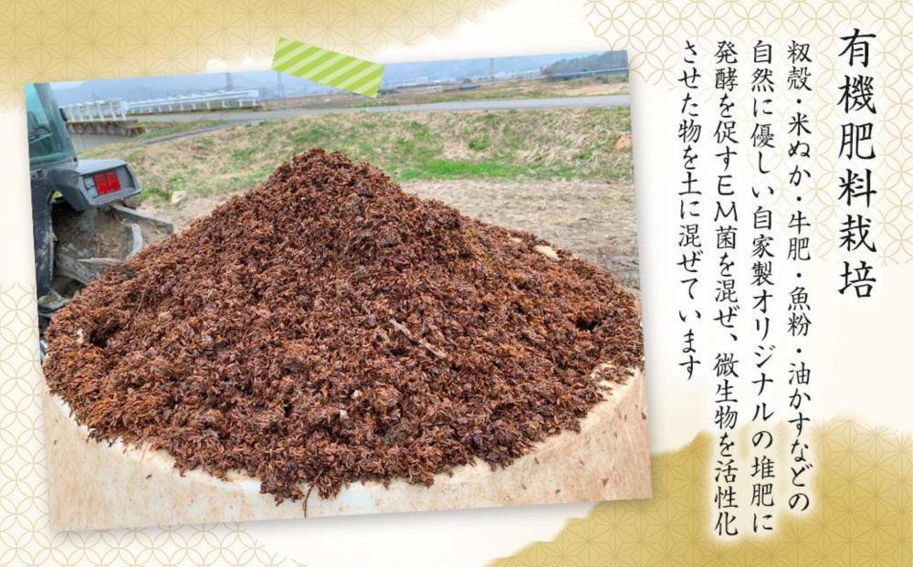 【生産者直送】【令和６年産　新米予約】南魚沼産こしひかり 5kg(5kg×1) 無洗米 オグライスファーム＜コシヒカリ 農家直送＞