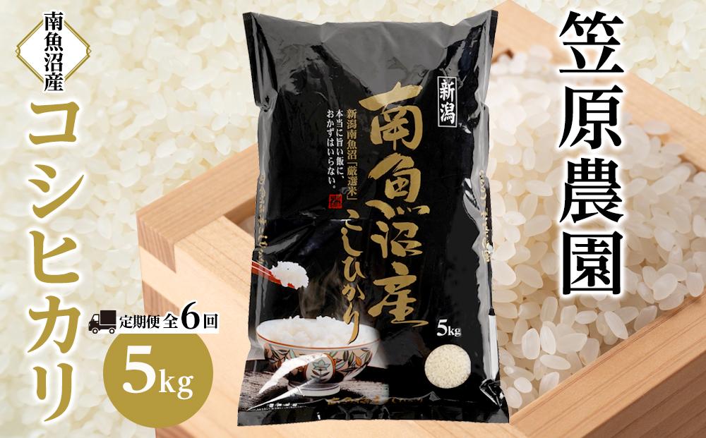 【定期便】【令和6年産新米予約／令和6年10月上旬より順次発送】南魚沼産コシヒカリ【５kg×全６回】【米 お米 こしひかり 南魚沼 米 白米 こめ 新潟 米 】