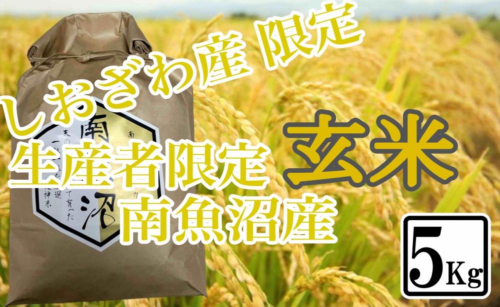 【5kg】玄米 しおざわ産限定 生産者限定 南魚沼産コシヒカリ