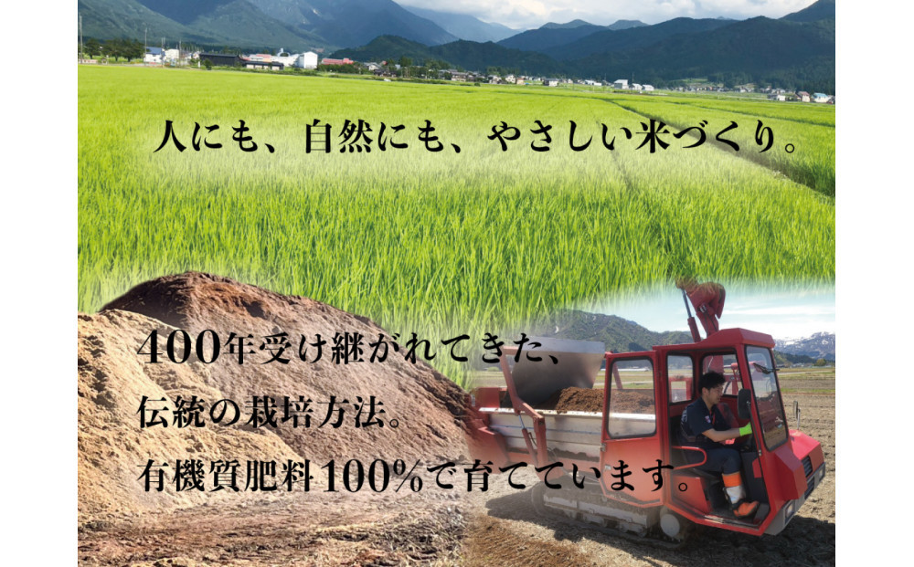 【南魚沼市食味コンテスト優秀賞】南魚沼産コシヒカリ 白米10kg(5kg×2袋)｜薬師米（農家直送）令和7年産