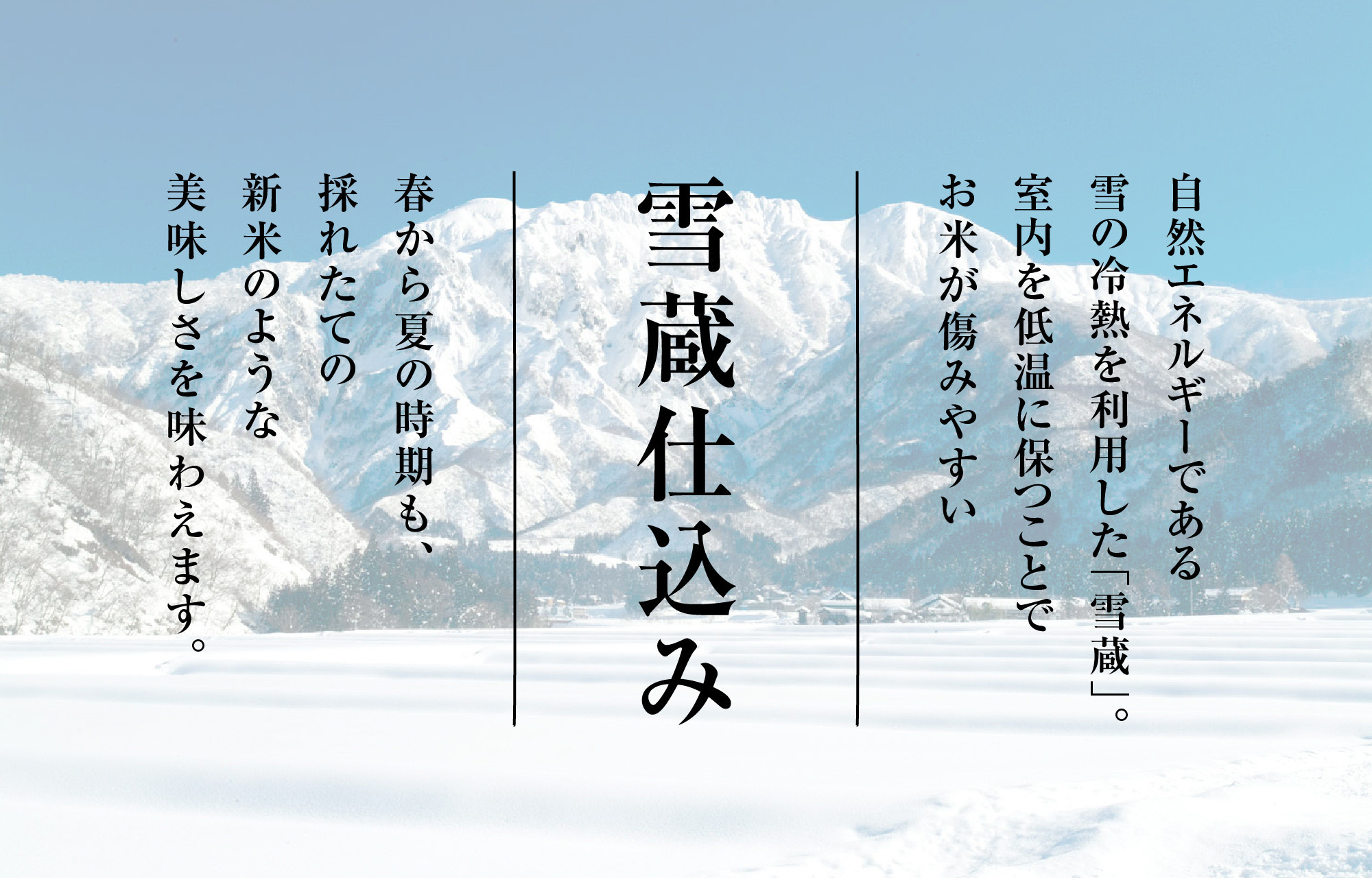 【令和7年産　頒布会】南魚沼産こしひかり2kg×全6回　契約栽培  雪蔵貯蔵米
