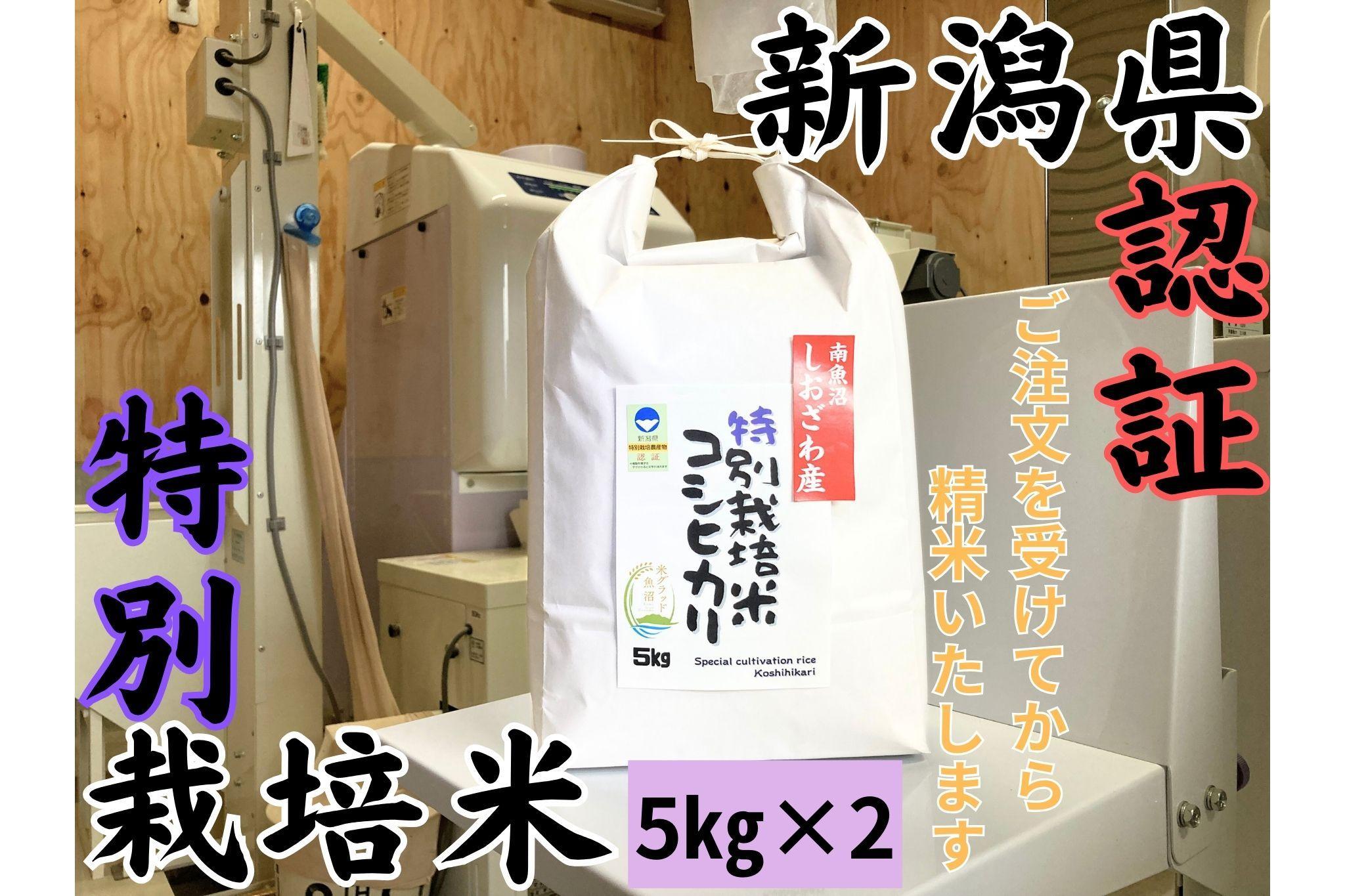 新潟県南魚沼　しおざわ産特別栽培米コシヒカリ　10kg　新米