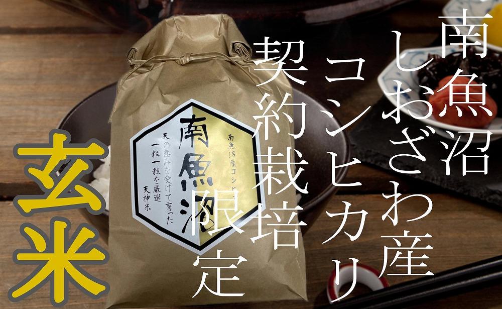 【令和7年産】【定期便4Kg×3ヶ月】●玄米● 生産者限定 南魚沼しおざわ産コシヒカリ