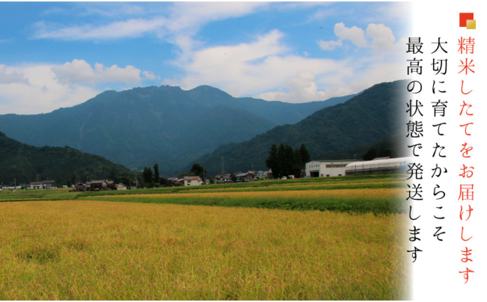 【令和７年 産】【お米定期便/全６回】南魚沼産コシヒカリ　白米５ｋｇ＜５割減農薬栽培米＞ 城内農産