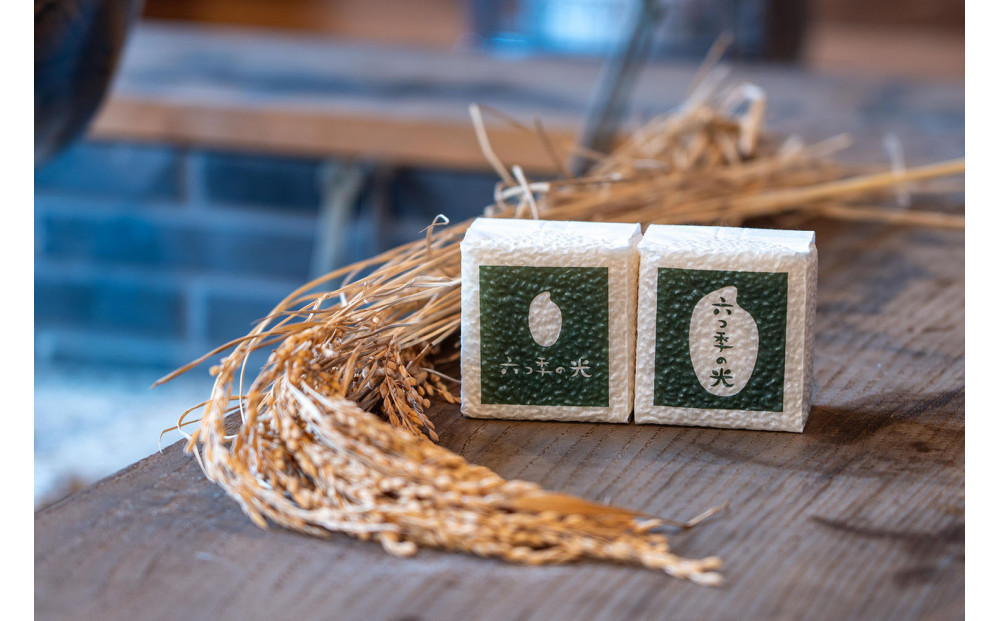 【令和７年度産】贈答用 真空パック米 六つ季の光 個包装（300g×2個）