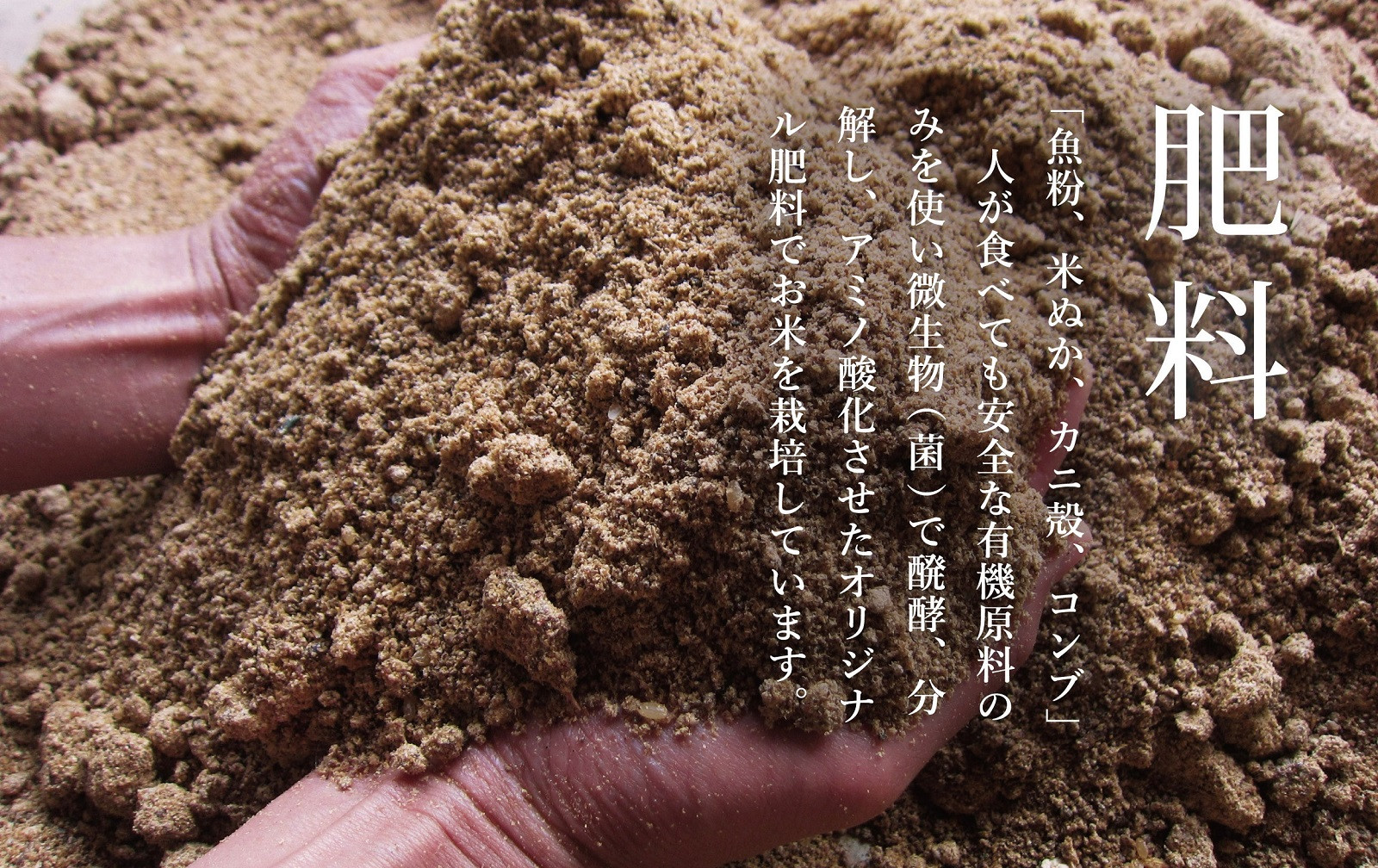 【令和7年産】プロフェッショナル出演 関智晴がつくる最高級 無農薬栽培米5kg  南魚沼産コシヒカリ