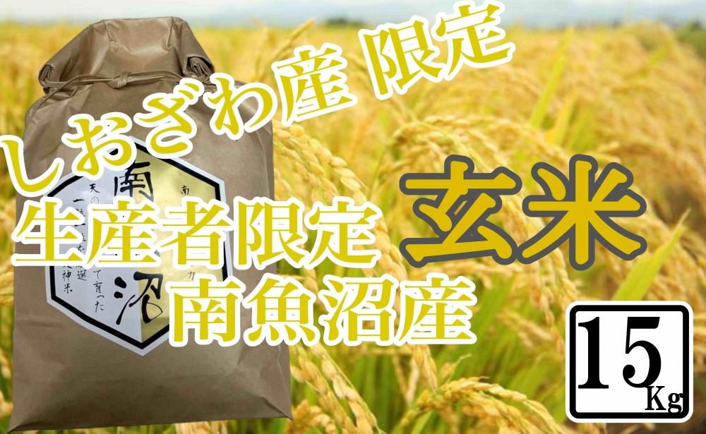 【15kg】玄米 しおざわ産限定 生産者限定 南魚沼産コシヒカリ