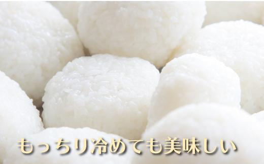 縲蝉サ、蜥鯉シ怜ケエ逕」縲大漉鬲壽イシ逕」繧ウ繧キ繝偵き繝ェ縲蟇御ク蛾ヮ縲霎イ阮ャ8蜑イ貂帙ョ迚ケ蛻・譬ス蝓ケ邀ウ縲閧・豐縺ェ螟ァ蝨ー縺ィ蜈ォ豬キ螻ア縺ョ髮ェ隗」縺第ーエ縺瑚ご繧薙□蜴ウ驕ク邀ウ縲辟。豢礼アウシ包ス具ス