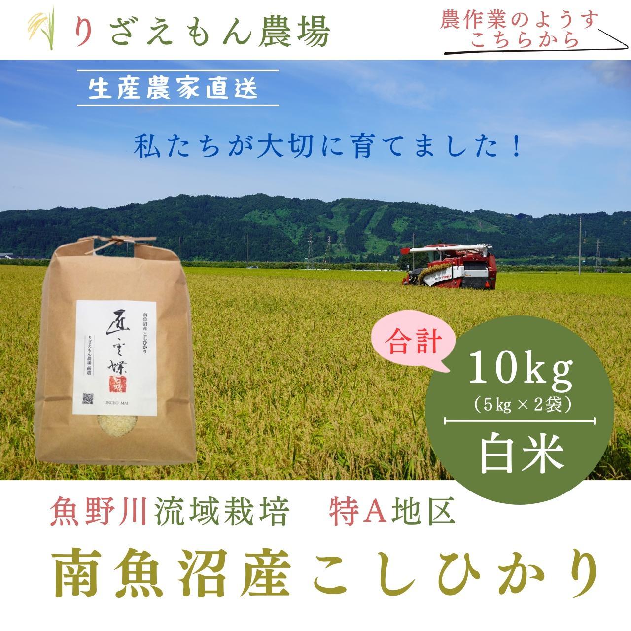 《新米予約受付》令和６年産　南魚沼産こしひかり　魚野川流域　特A地区　匠 雲蝶(たくみ　うんちょう）白米10kg＼生産農家直送／