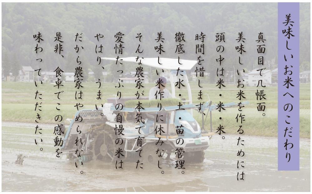 【令和6年産 先行予約】南魚沼産コシヒカリ5kg【塩沢地区】