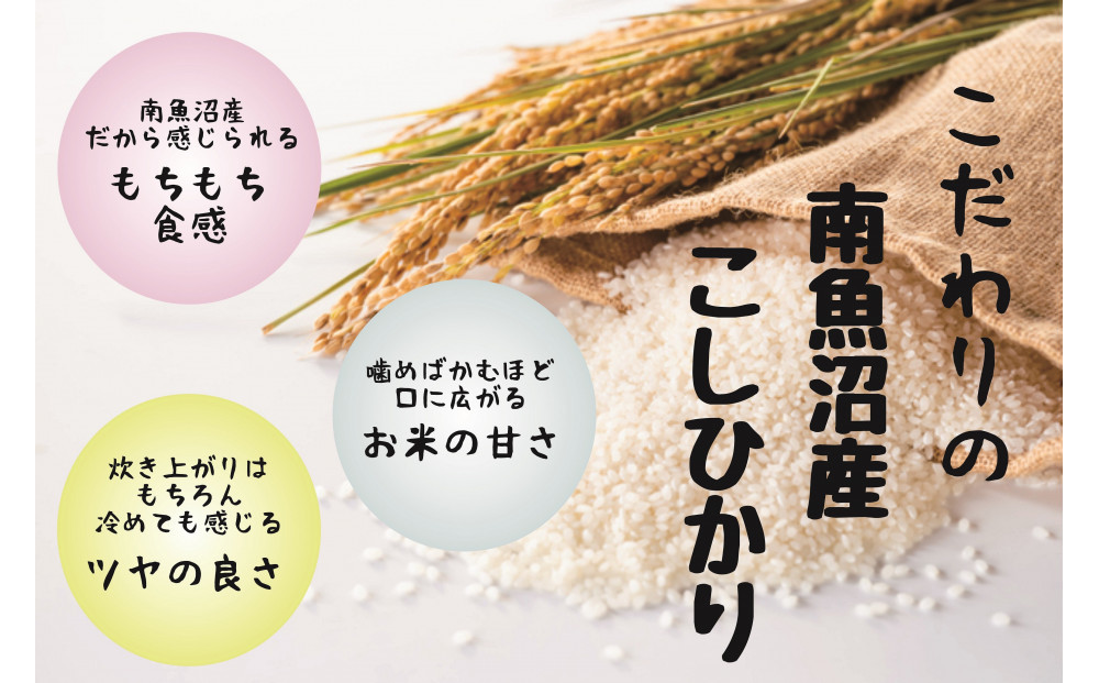 【令和7年産米】南魚沼産コシヒカリ特別栽培米 白米 2kg