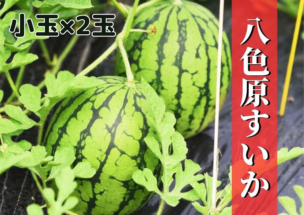 蜈郁。御コ育エ縲先眠貎溽恁蜊鈴ュ壽イシ逕」縲大ォ濶イ蜴溘せ繧、繧ォ 蟆冗脂シ堤脂縲2026蟷エ7譛井クュ譌ャ逋コ騾√代舌♀螻翫¢譌・譎よ欠螳壻ク榊庄縲