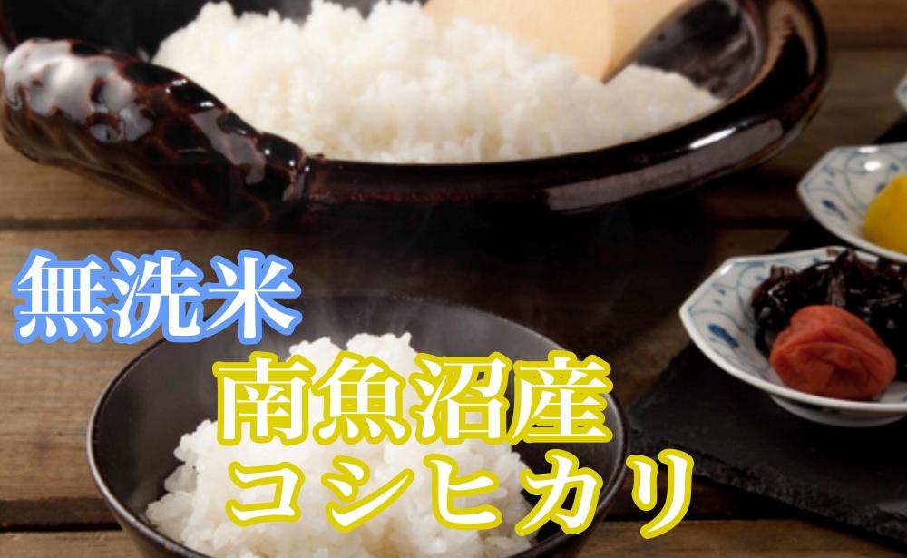 縲蝉サ、蜥7蟷エ逕」縲鯛酪蜷溽イセ 辟。豢礼アウ笳丞漉鬲壽イシ逕」繧ウ繧キ繝偵き繝ェ6kg