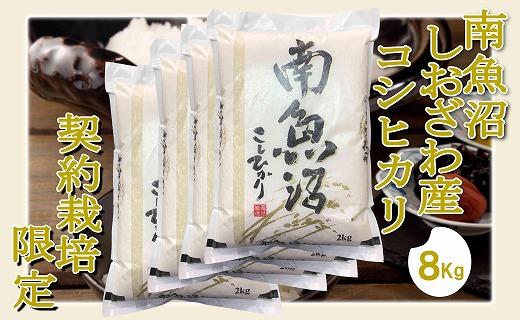 【令和7年産】【精米8Kg】契約栽培限定 南魚沼しおざわ産コシヒカリ