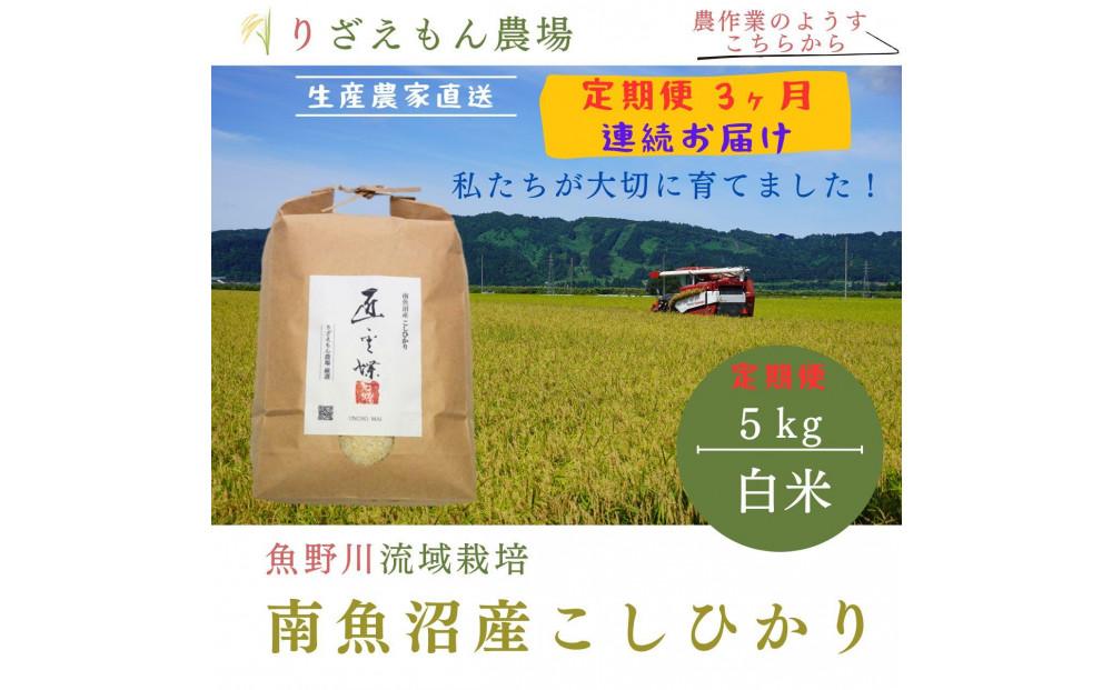 《新米予約受付》【定期便3回×5kg《合計15kg》】令和６年産　南魚沼産コシヒカリ　白米5kg　＼生産農家直送／