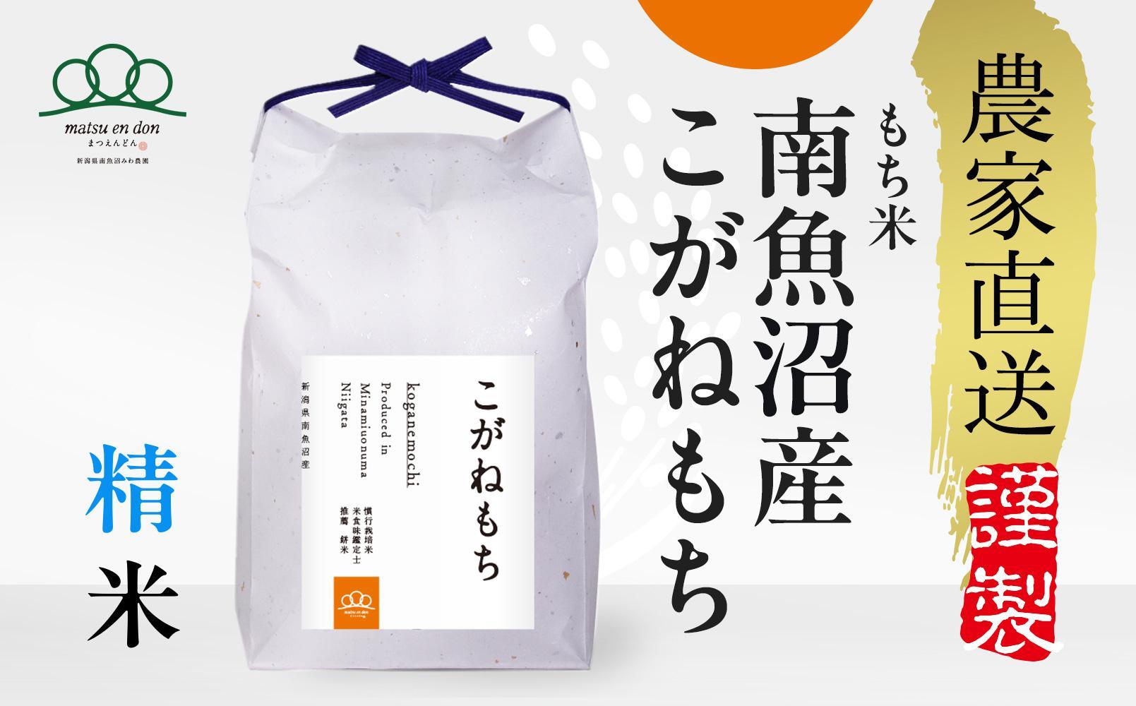 新米予約【令和6年産】もち米精米 南魚沼産こがねもち 5kg _AG