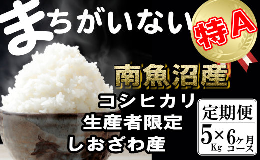 【令和7年産】【定期便】生産者限定 契約栽培　南魚沼しおざわ産コシヒカリ（5Kg×6ヶ月）