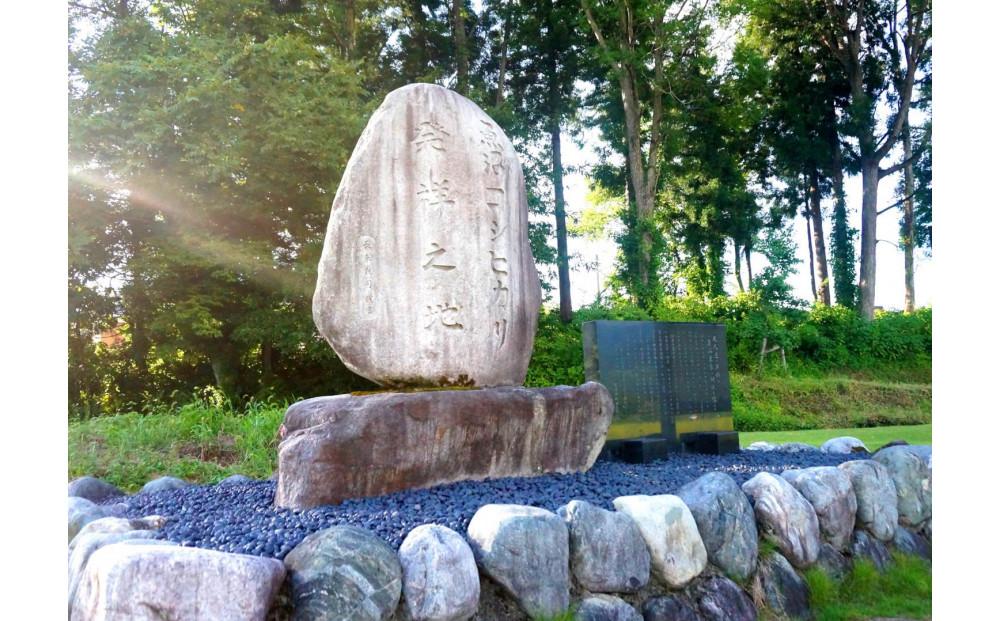 ã什å7幎ç£ããå®æäŸ¿ã»äžæ¬ãå±ãã5kgÃ6ã¶æãåéæ²Œç£ã³ã·ãã«ãª