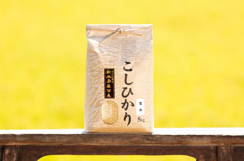 【令和6年産 新米】南魚沼産コシヒカリ（玄米5kg×全9回）新潟県 特A地区の美味しいお米。