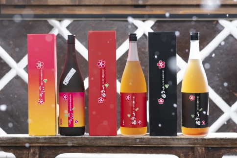 越後の名酒 八海山の梅酒一升瓶3種詰合せ（各1本）【2026年4月より順次発送予定】