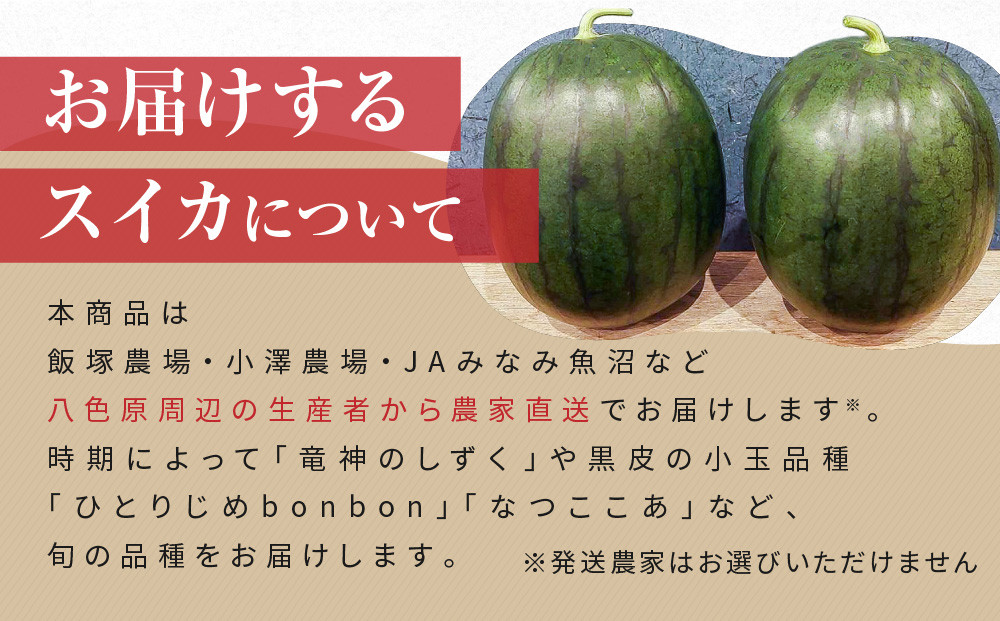 先行予約【高級】八色原すいか小玉２玉【2026年7月中旬発送】【お届け日時指定不可】
