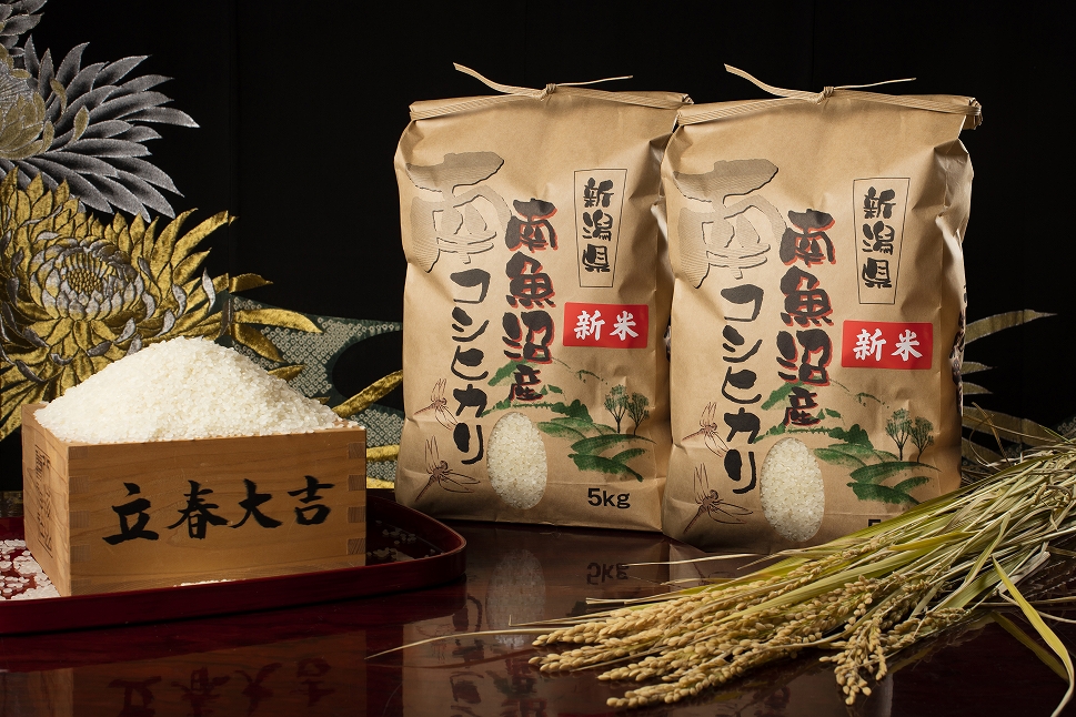 【令和8年産 新米予約 全12回定期便】南魚沼塩沢産コシヒカリ 白米10kg×12回 新潟県の特A地区南魚沼市の美味しいお米【定期便 銘柄米 ブランド米 精米 こしひかり コシヒカリ】【2026年11月上旬から1ヶ月以内に順次発送予定】