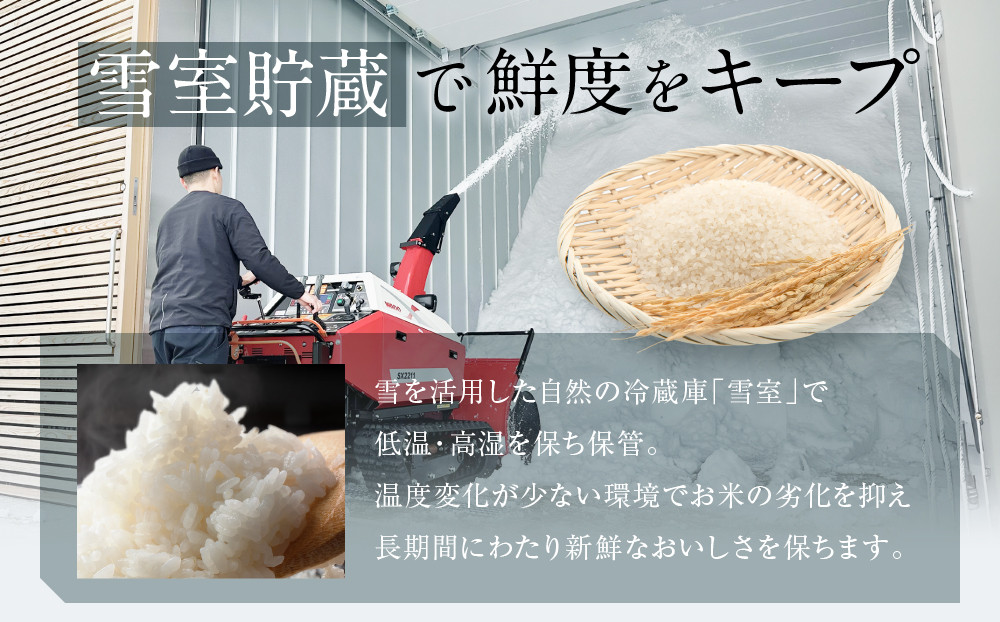 【定期便】関智晴がつくる最高級 南魚沼産コシヒカリ 金丸 ５kg ×全12回　栽培期間中 農薬化学肥料不使用【定期便 銘柄米 ブランド米 精米 こしひかり コシヒカリ 魚沼産 新潟米 産地直送 お米 米 こめ コメ ご飯 御飯 ごはん】