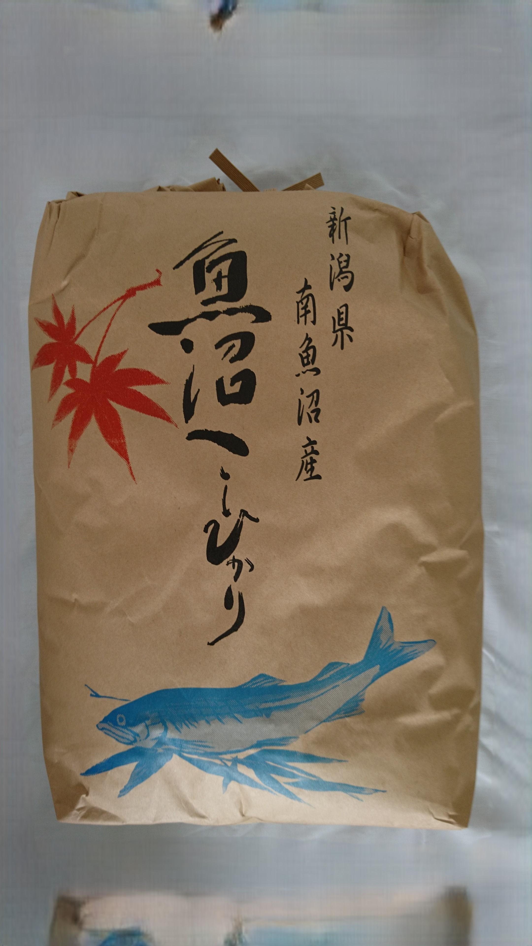 【令和7年】魚沼産しおざわコシヒカリ玄米2０kg