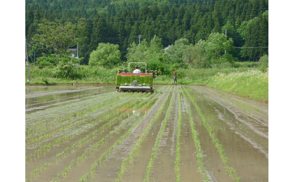 【頒布会】R7年産　最優秀賞受賞【8割減農薬】最高峰南魚沼産こしひかり10kg（5kg×2）×6ヶ月　桑原農産のお米(精米)