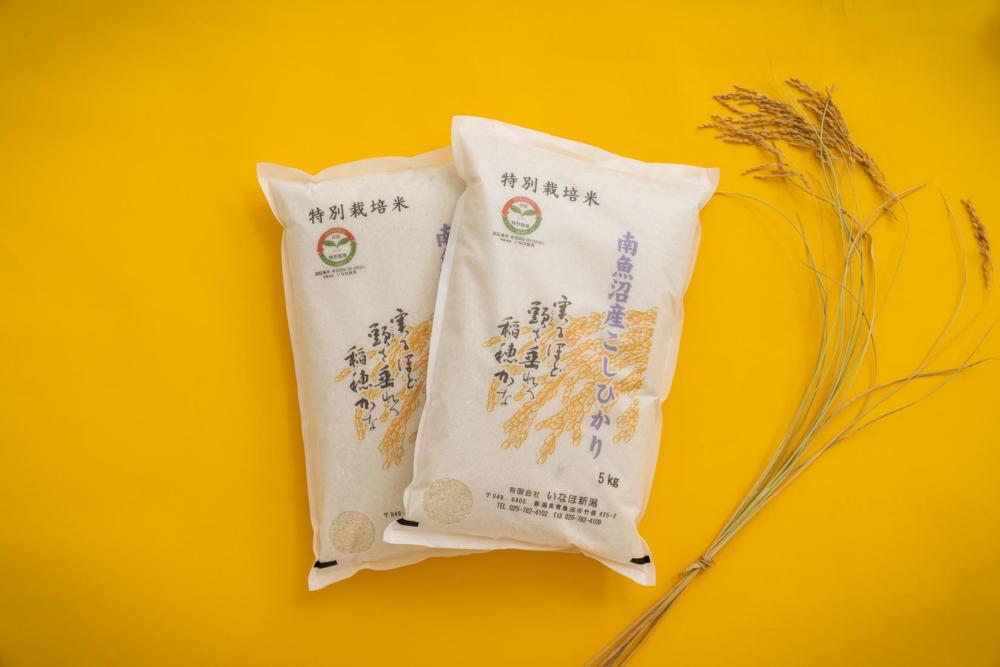 【令和7年産】 南魚沼産コシヒカリ「特別栽培米（アファス認証）」精米5kg×２袋【新潟県 特A地区】