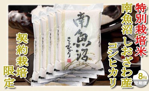 【令和7年産】【定期配送８Kg×６ヶ月】特別栽培 生産者限定  南魚沼しおざわ産コシヒカリ
