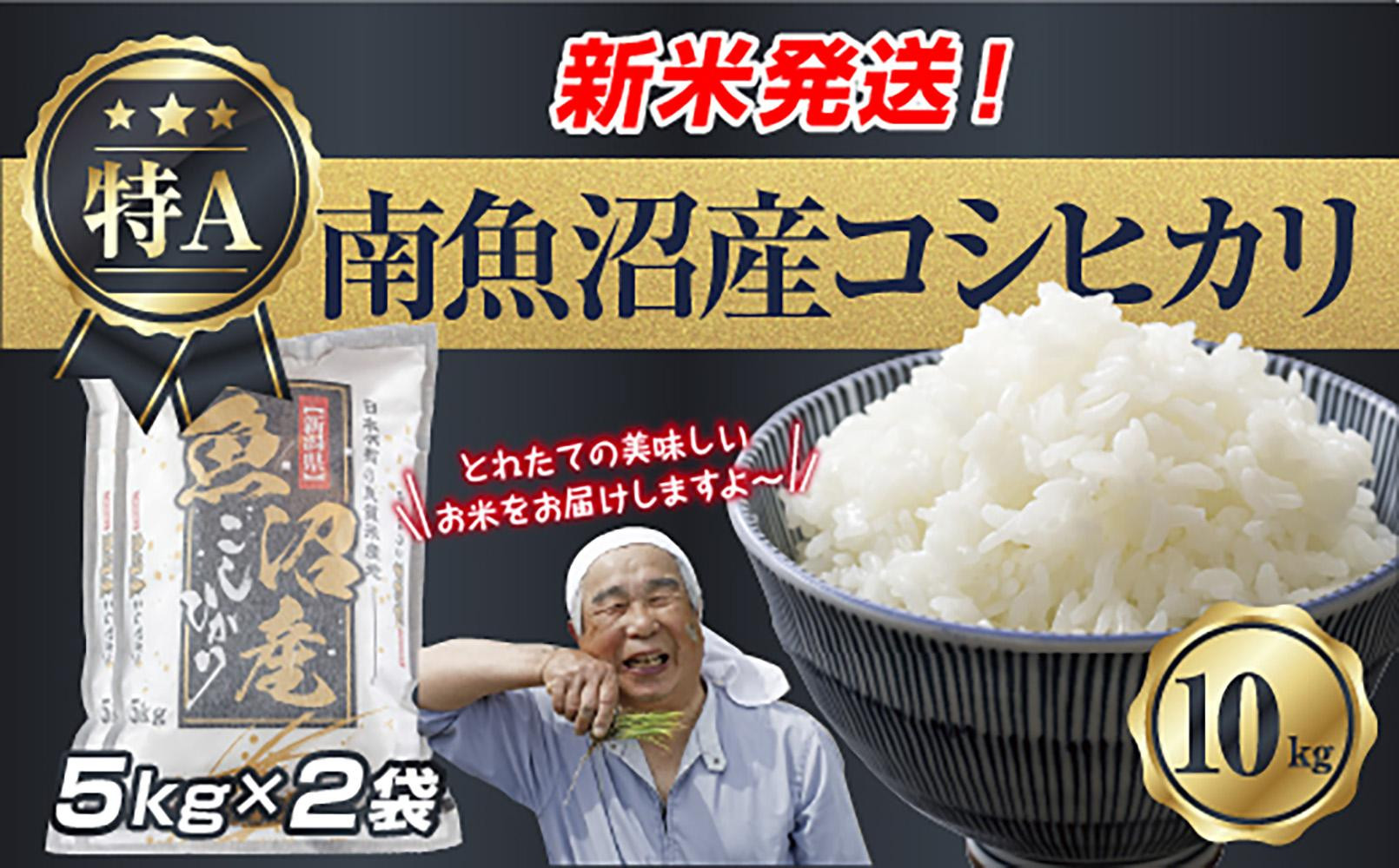 令和7年産 新潟県 南魚沼産 コシヒカリ お米 5kg×2袋 計10kg 精米済み（お米の美味しい炊き方ガイド付き） お米 こめ 白米 こしひかり 食品 人気 おすすめ 送料無料 魚沼 南魚沼 南魚沼市 新潟県産 新潟県 精米 産直 産地直送 お取り寄せ【2025年10月上旬より順次発送予定】