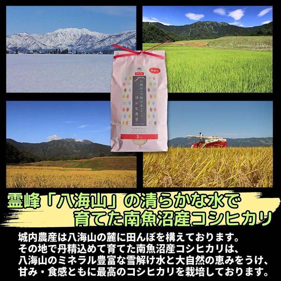 【令和6年産 】新潟県 南魚沼産 コシヒカリ お米 こしひかり 精米 白米 のし 贈り物  熨斗 贈答用 令和6年産 城内農産 特A地区米 4kg(2kg×2袋)