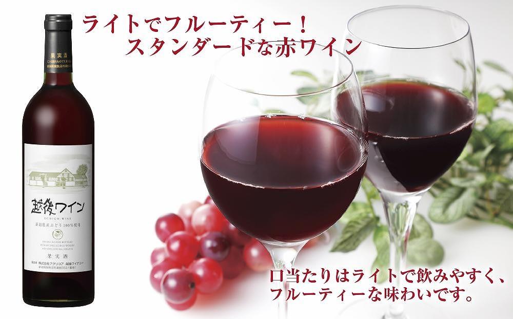 越後ワイン 赤 750ml 2本セット アグリコア 越後ワイナリー 新潟県産