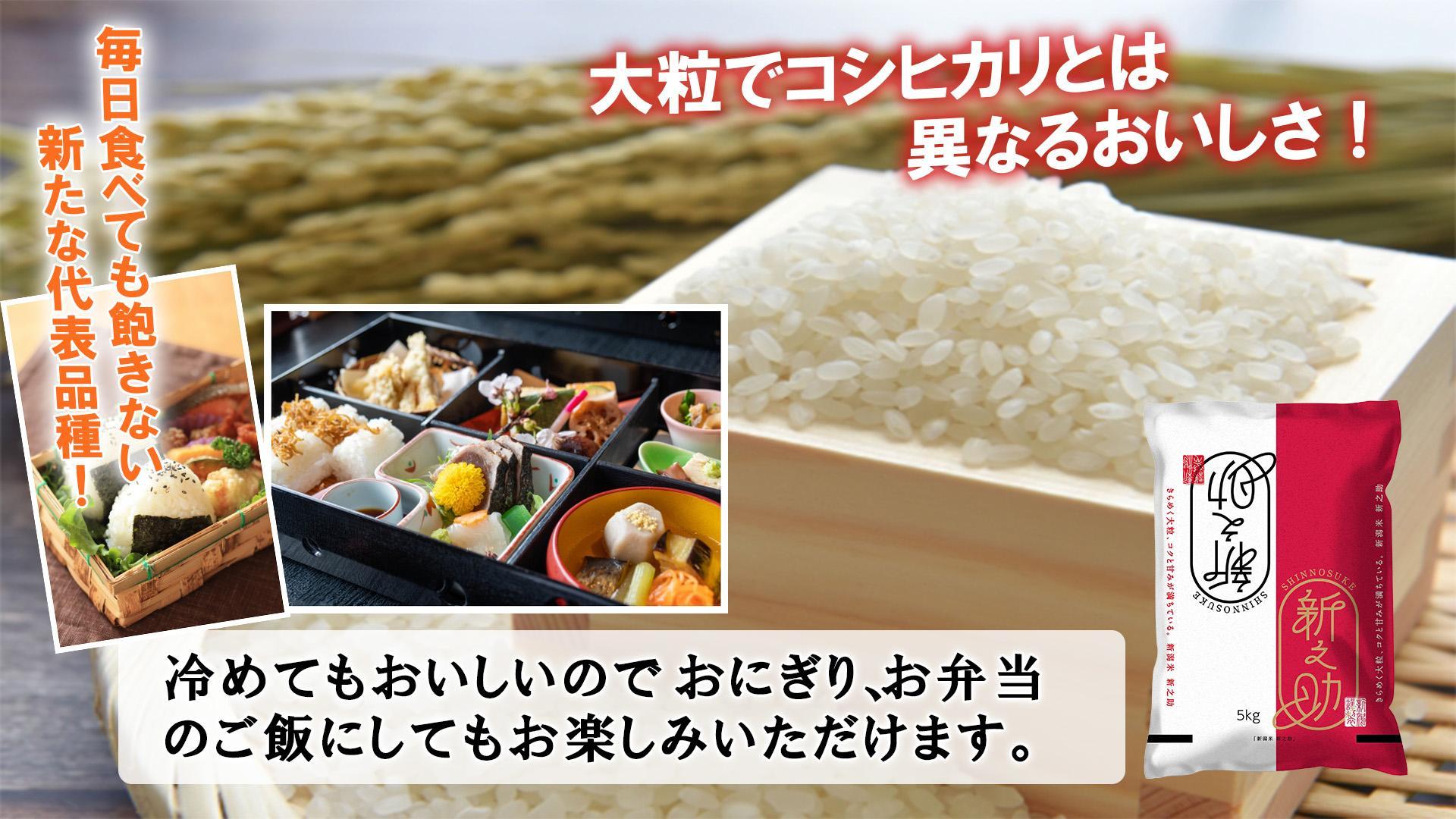 【令和6年産新米予約／令和6年11月上旬より順次発送】【C-6定期便】南魚沼産新之助5kg×6回