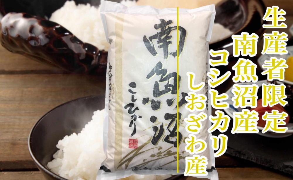 【新米予約・令和6年産】精米４Kg 生産者限定 南魚沼しおざわ産コシヒカリ