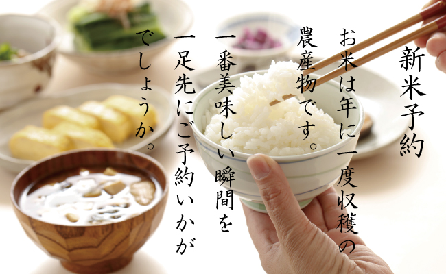 【頒布会】南魚沼産こしひかり無洗米5kg×全12回