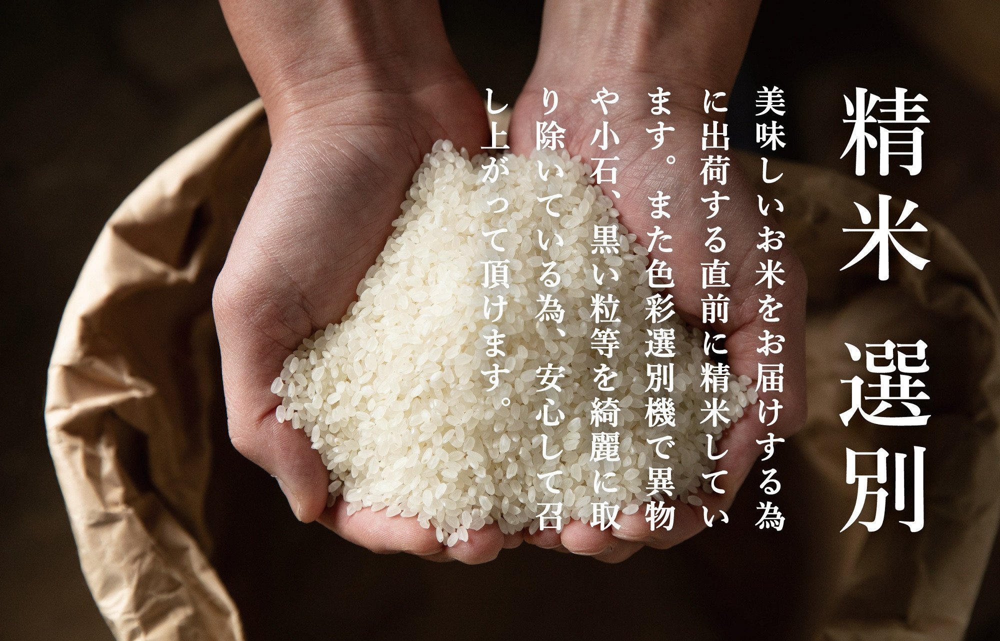 【令和7年産】関智晴がつくる南魚沼塩沢産コシヒカリ5kg　減農薬栽培米