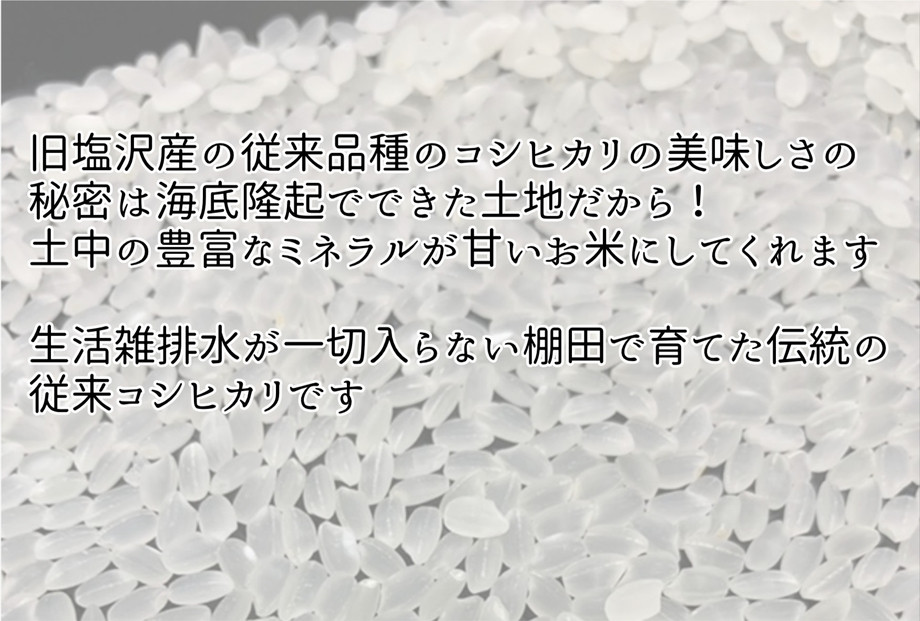 什å7幎ç£ãåéæ²Œå¡©æ²¢ç£ã³ã·ãã«ãªãçœç±³ïŒkg