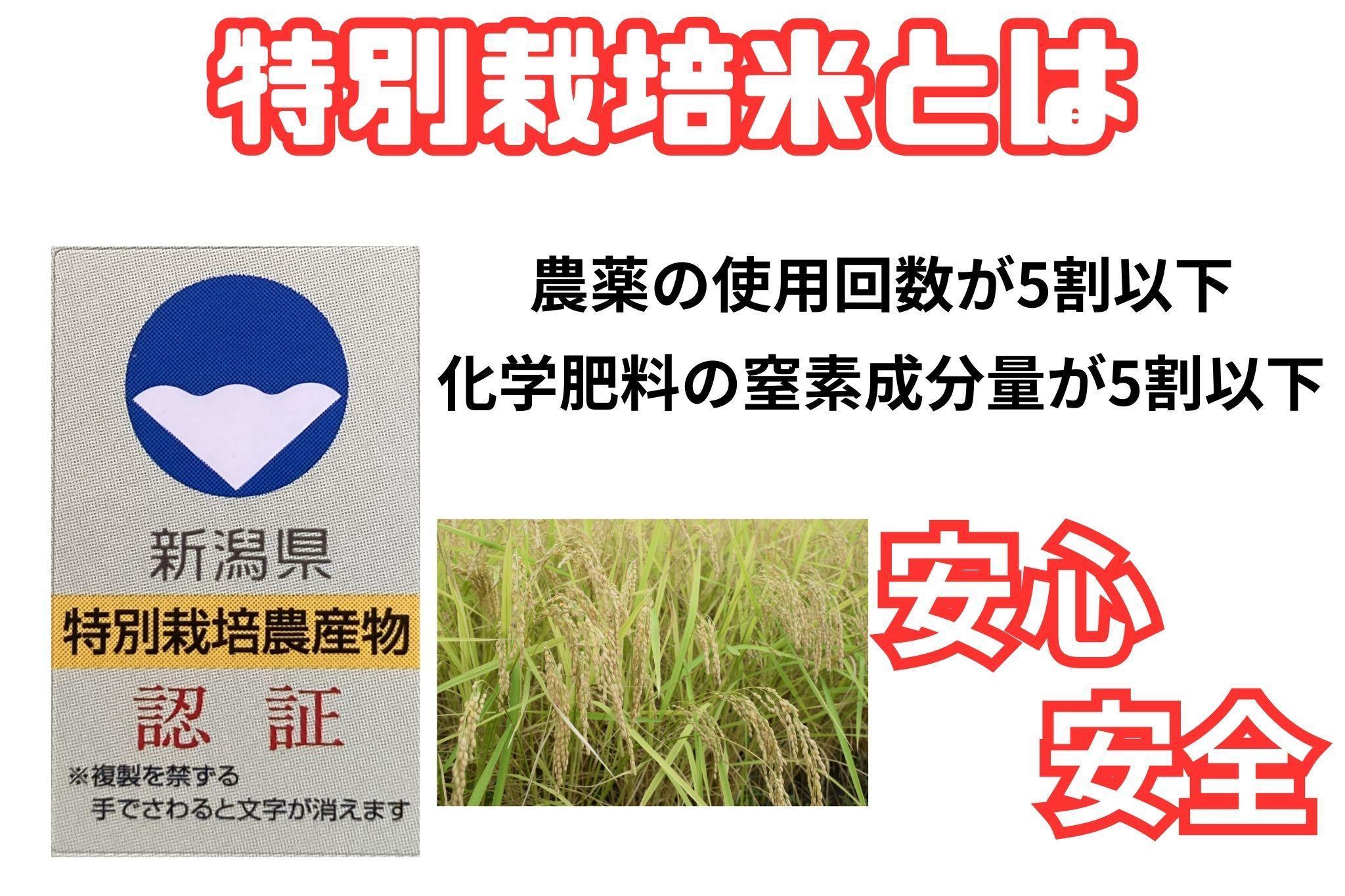 【令和7年産・新米予約】安心安全の新潟県南魚沼産特別栽培米コシヒカリ　5kg　新潟県認証