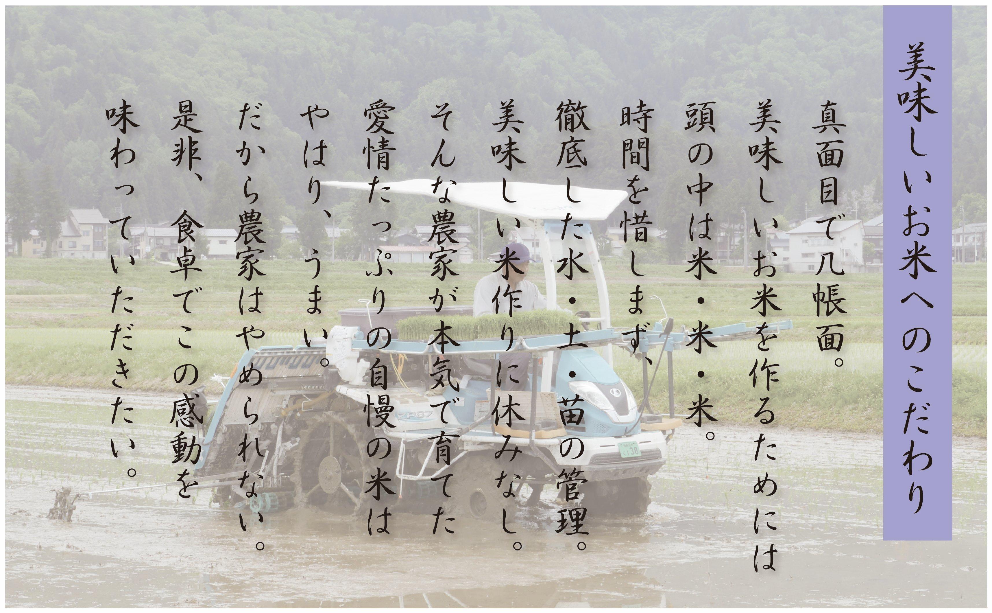 【令和6年産 先行予約】南魚沼産新之助5kg【定期便6ヵ月】（5kg×6回）【塩沢地区】